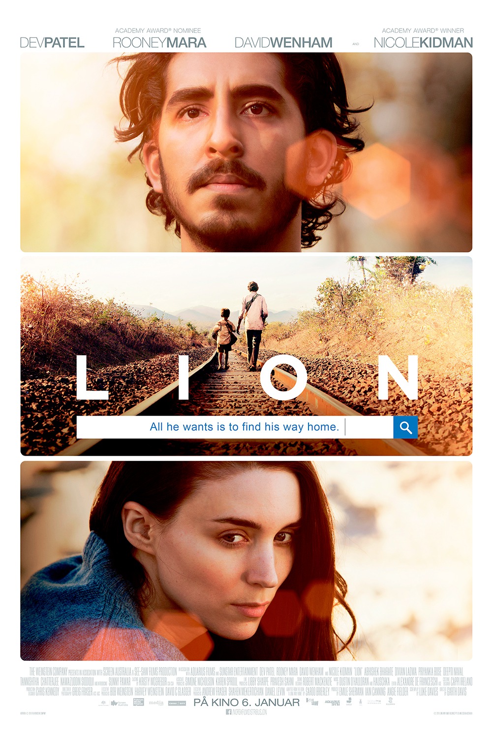 lion