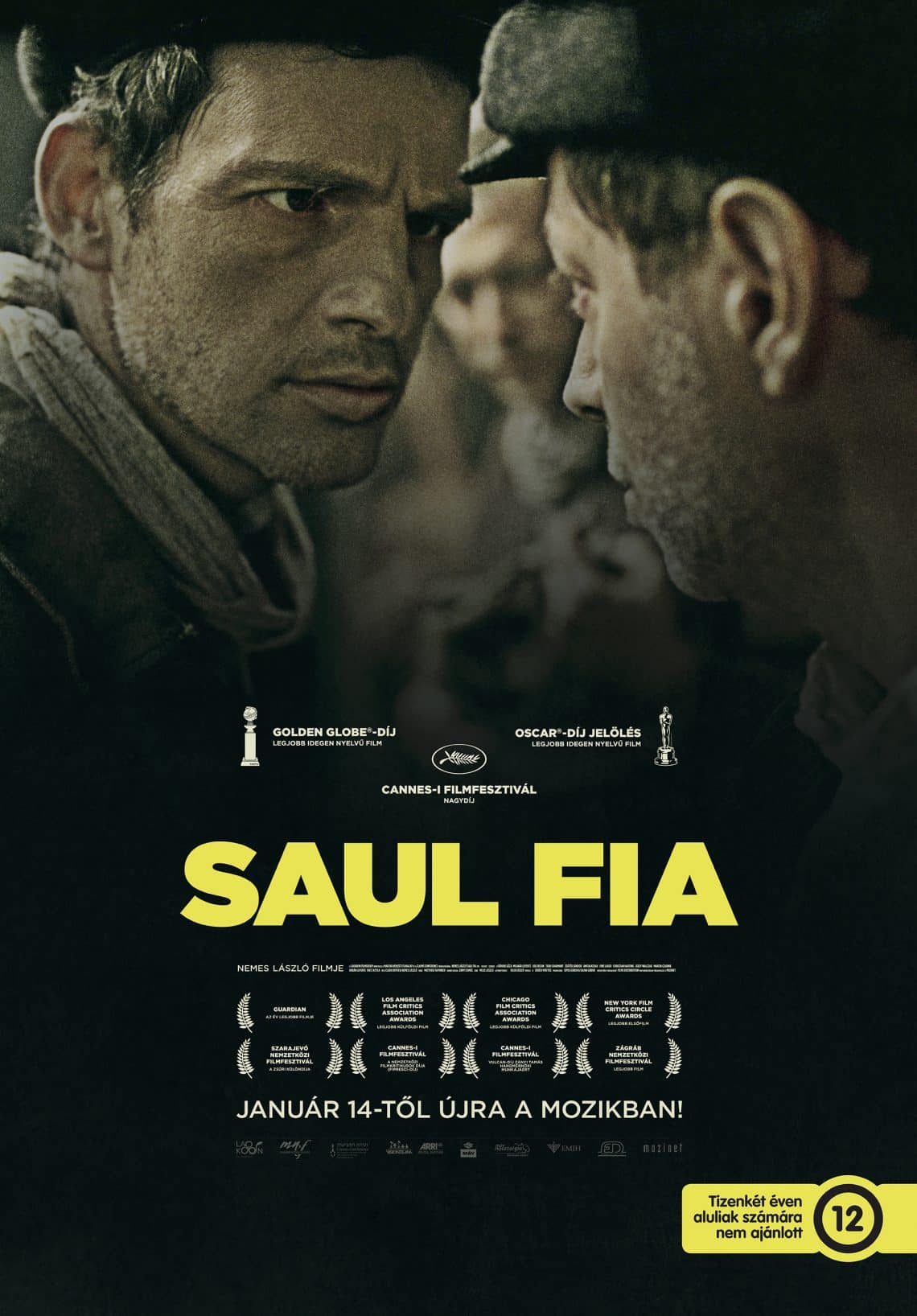 saul-fia