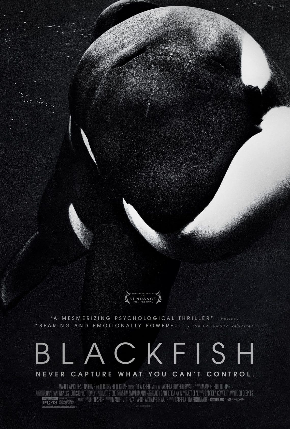 blackfish